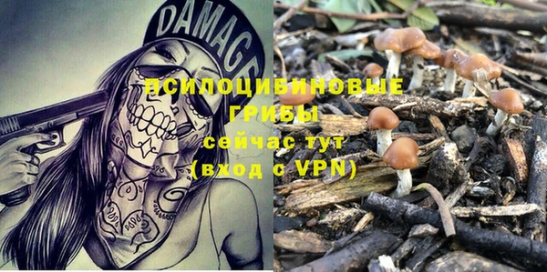 МДПВ Михайлов