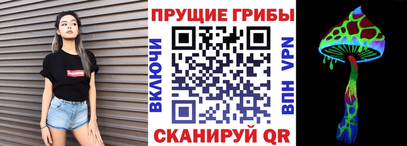 наркошоп Грайворон Галлюциногенные грибы мицелий